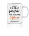 mug je ne suis pas parfait