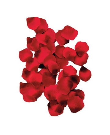 Lot de 100 pétales de rose Rouge