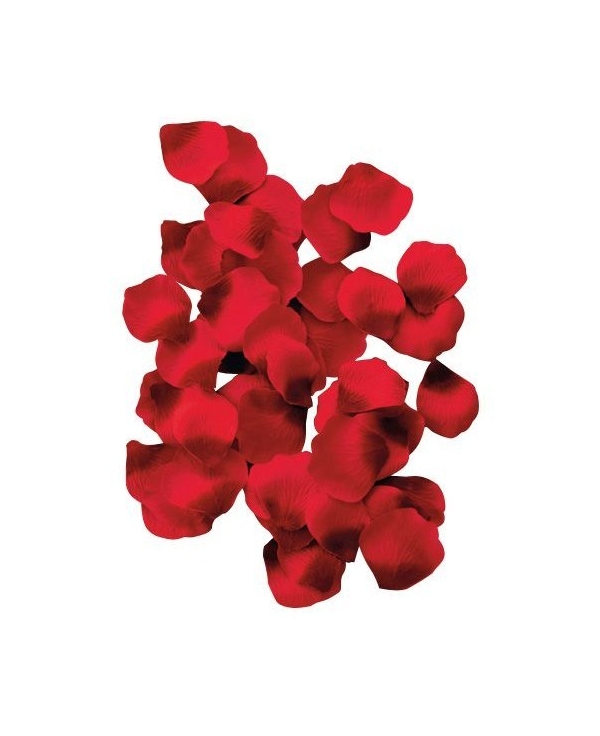 Lot de 100 pétales de rose Rouge