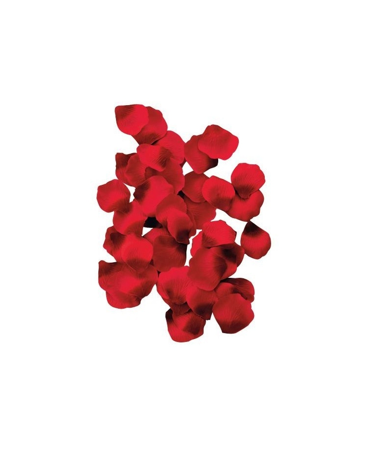Lot de 100 pétales de rose Rouge