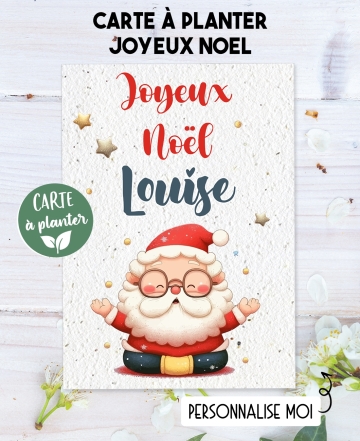 carte planter Noël. carte planter graine joyeux Noël . carte planter Noël. cadeau fleurs Noël.