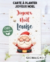 carte planter Noël. carte planter graine joyeux Noël . carte planter Noël. cadeau fleurs Noël.
