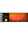 Carte à gratter ticket concert. carte surprise concert. carte gratter personnalisé sortie concert. carte concert surprise